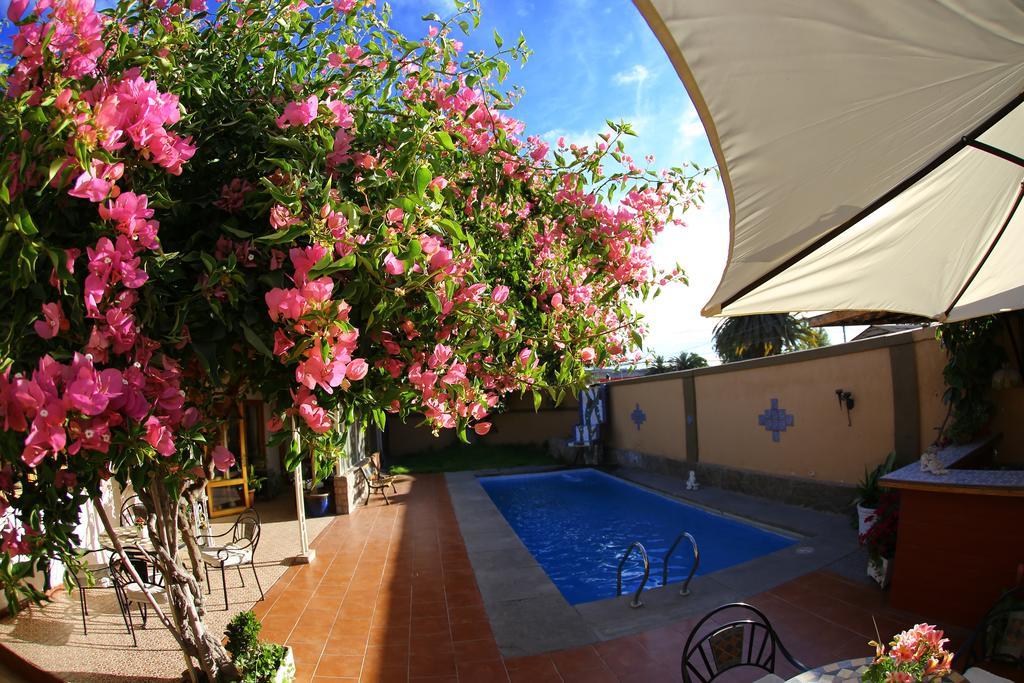 Hotel Puerto De Vega Vallenar Ngoại thất bức ảnh